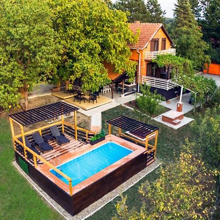 Villa Dijana - Pool, Spa, Outdoor Kitchen Bělehrad Exteriér fotografie